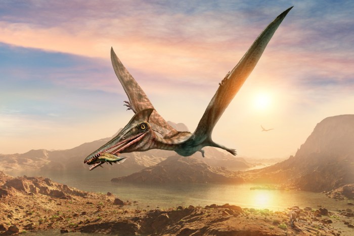 Representación de un pterosaurio volando.