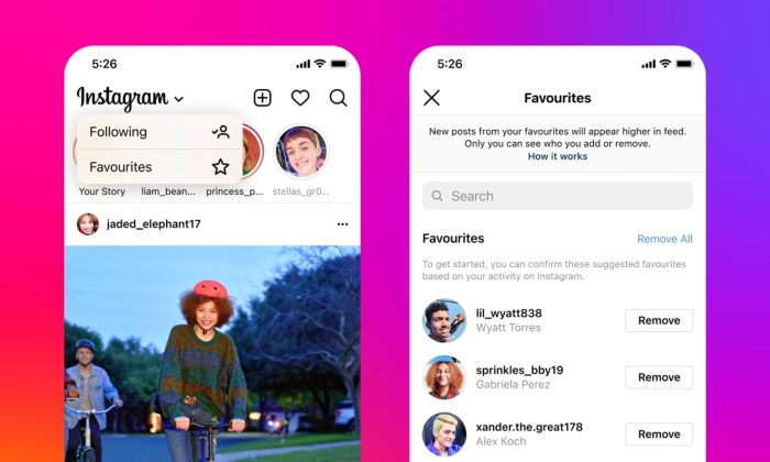 instagram estrena nueva forma mostrar publicaciones feed