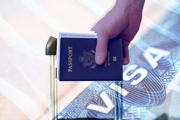 Una mano sosteniendo la manilla de una maleta y un pasaporte, sobre un fondo que dice "Visa".