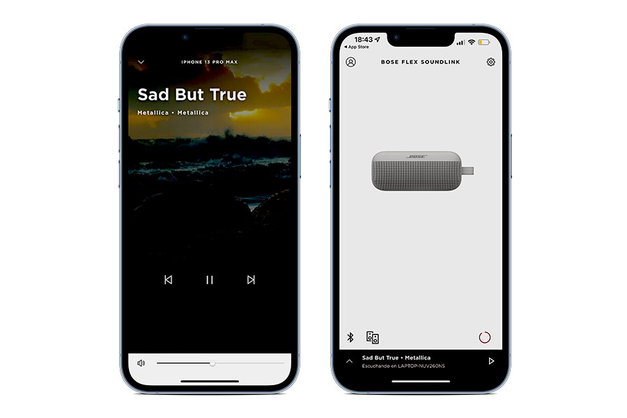 Altavoz Bose Soundlink Flex