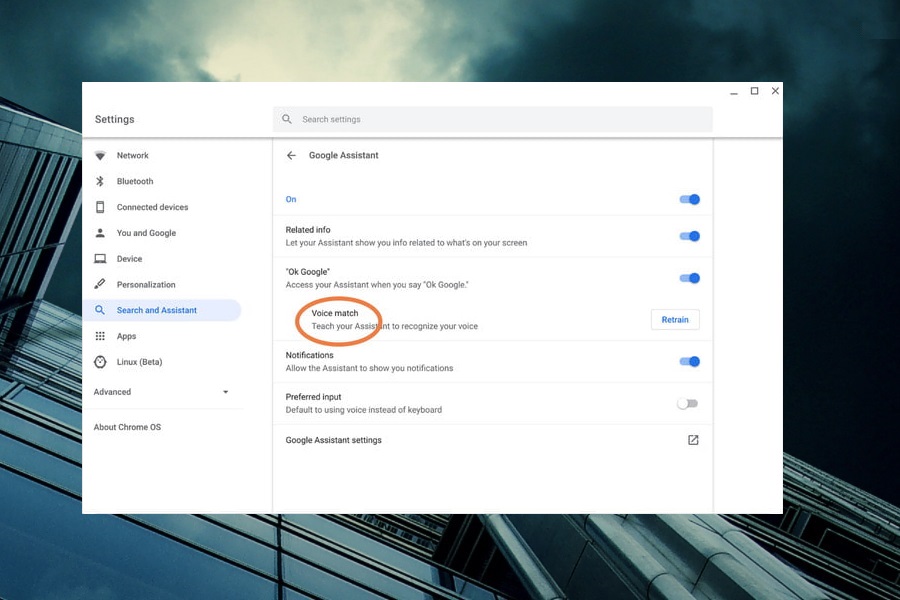 Utiliza la herramienta Voice Match para obtener una mayor precisión.