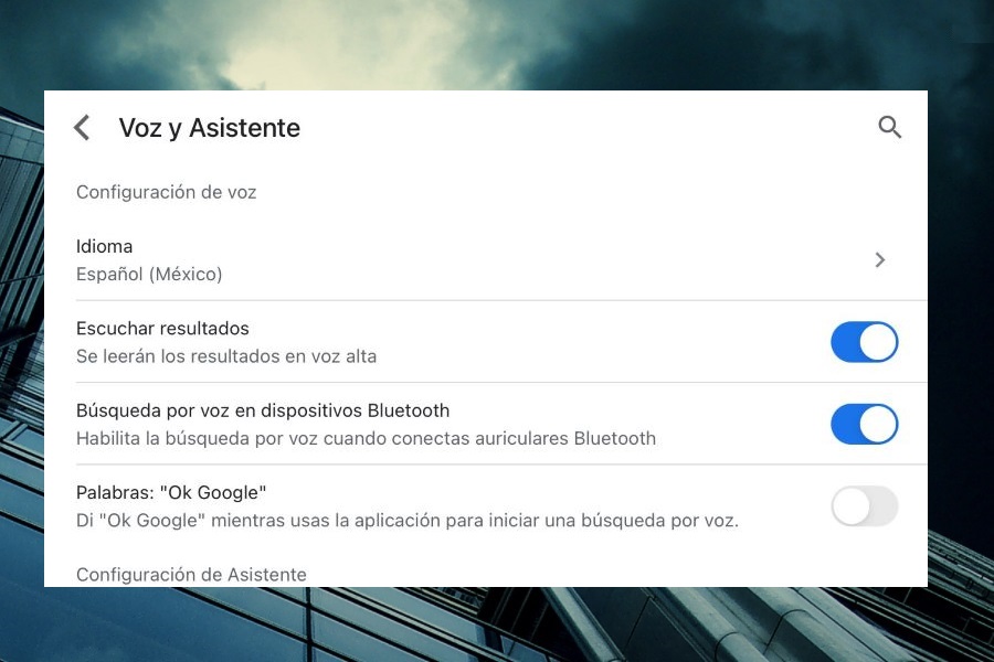 Pantalla de ajustes de la aplicación Hey Google para iPhone.