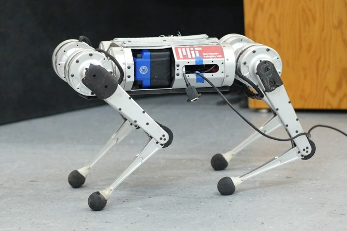 guepardo robot mit rompe records