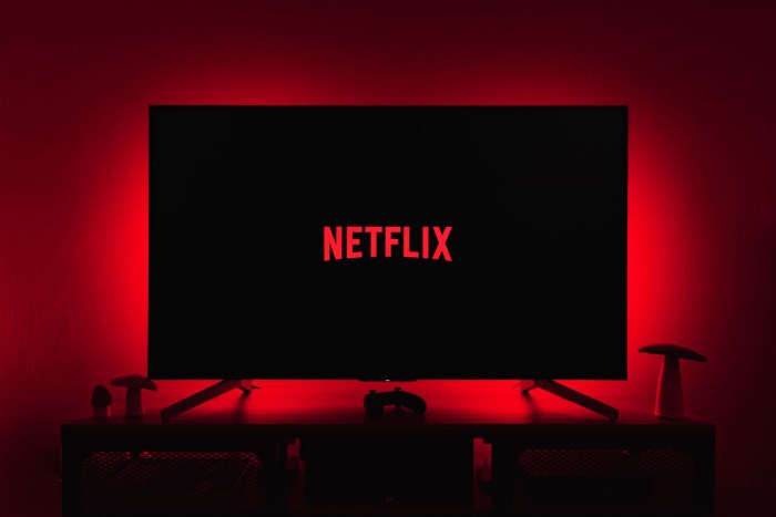 Silueta de un televisor mostrando el logotipo de Netflix.