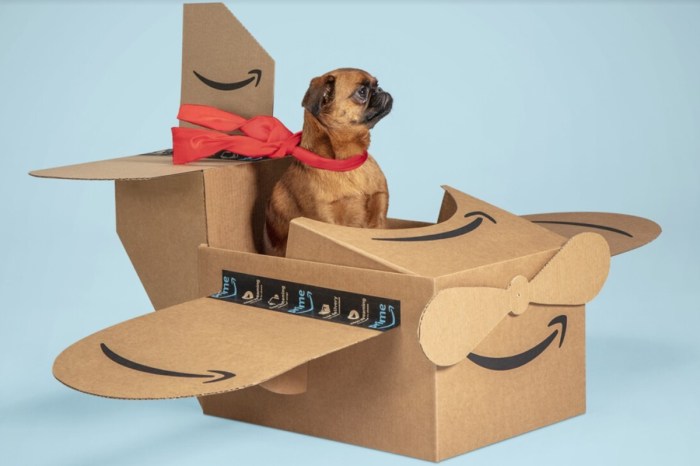 Todo sobre el estreno del Día de las Mascotas de Amazon