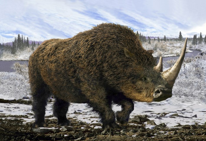 como surgio la sangre caliente mamiferos woolly rhinoceros