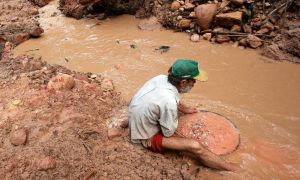 apple google microsoft amazon compra oro ilegal selva amazonica brasilena brasil