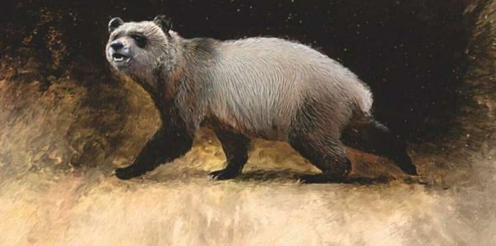 panda gigante prehistorico bulgaria prehist  rico