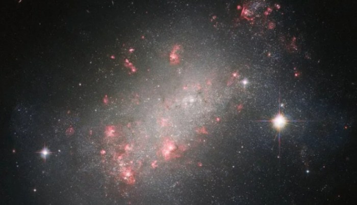 telescopio espacial hubble galaxia enana ngc 1156 captura web 29 8 2022 104844 www digitaltrends com