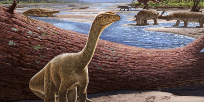 encuentran dinosaurio mas antiguo africa mbiresaurus raathi