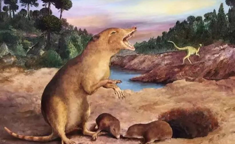 Descubren el ratón más antiguo del mundo y una nutria gigante | Digital Trends Español
