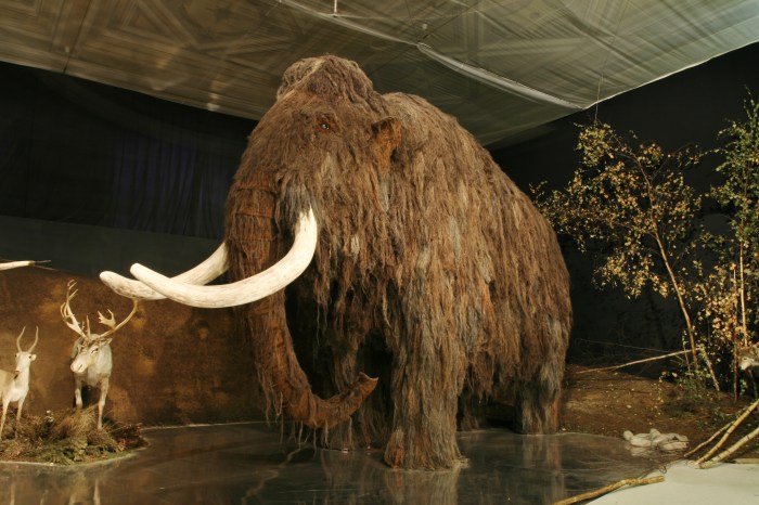 cia quiere revivir mamut lanudo tigre de tasmania lovci mamutu mammoth