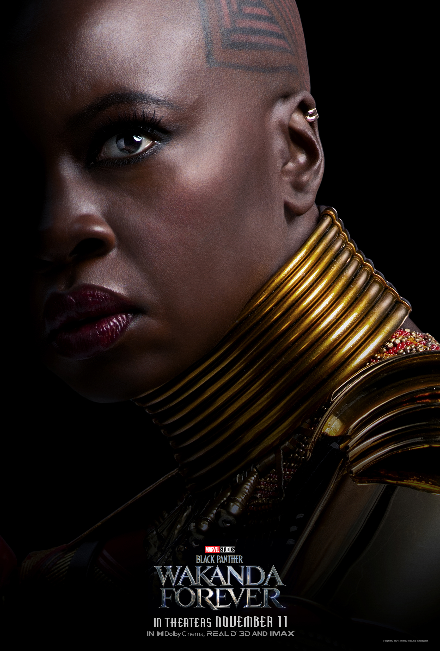 black panther wakanda forever posters personajes
