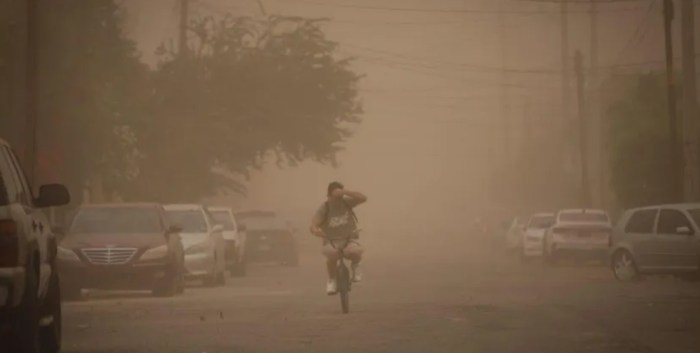 tormenta de arena mexicali la cubrio a dejando su paso arboles caidos en varias partes ciudad