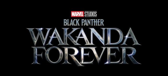 black panther wakanda forever posters personajes image001