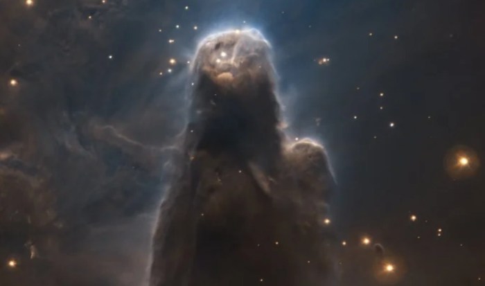 nebulosa del cono very larg telescope