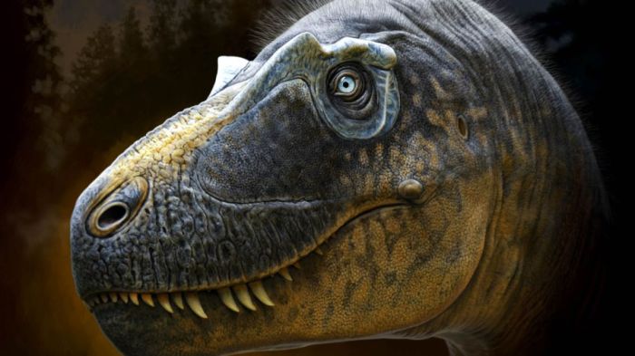 daspletosaurus wilsoni eslabon perdido tyrannosaurus rex
