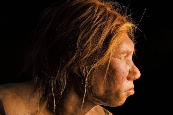 primeros hombres sudamericanos adn neandertal denisovano