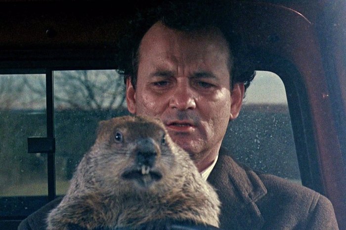 cinco mejores peliculas de comedia historia d  a la marmota