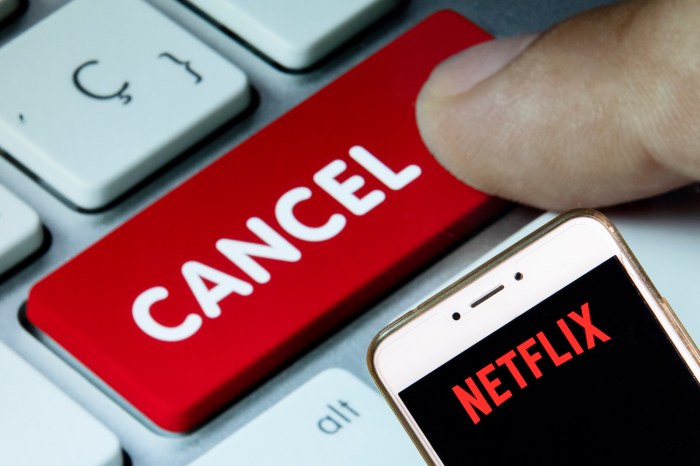 Cómo cancelar tu cuenta de Netflix y finalizar tu suscripción.