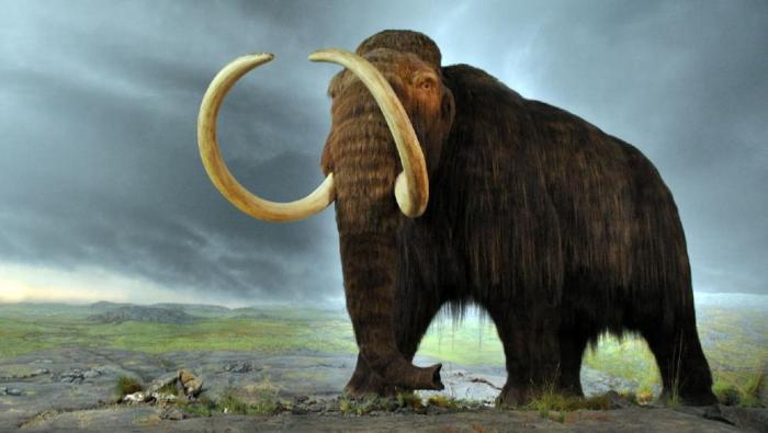 mamut lanudo regresa 2027 colossal
