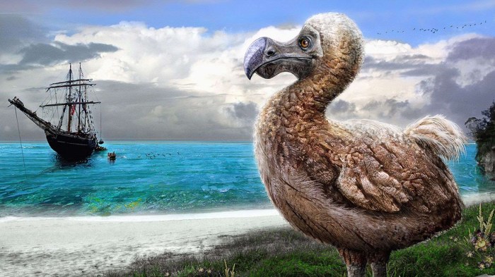 colossal biosciences quiere revivir al pajaro dodo el