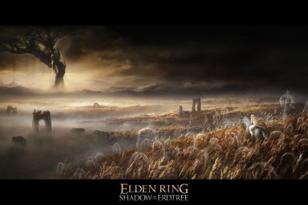 elden ring expansion shadow of the erdtree dlc