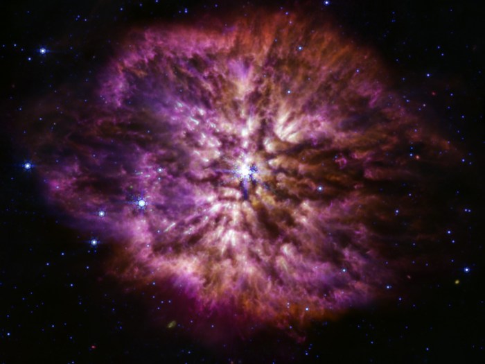 telescopio espacial james webb explosion estrella wolf rayet