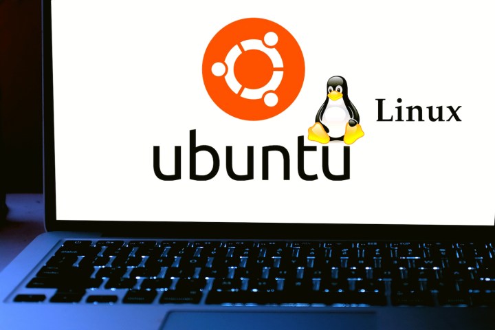 Seleccionamos las mejores distribuciones Linux disponibles.
