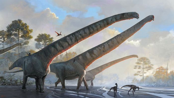 dinosaurio cuello mas largo mamenchisaurus sinocanadorum nuhaztfiw9phecasv3wjdl 1200 80