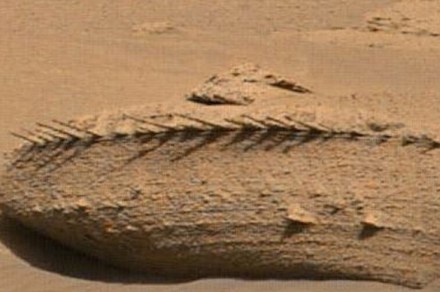 Did they find a dragon skeleton on Mars?  |  Digital Trends Spanish
