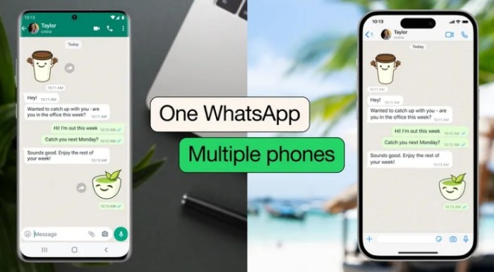 whatsapp permite usar la cuenta en varios celulares tel  fonos