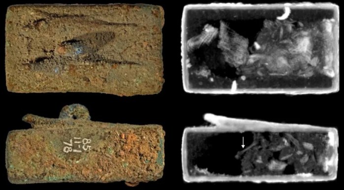 ataudes de lagartos egipcios tomografia neutrones ata  des