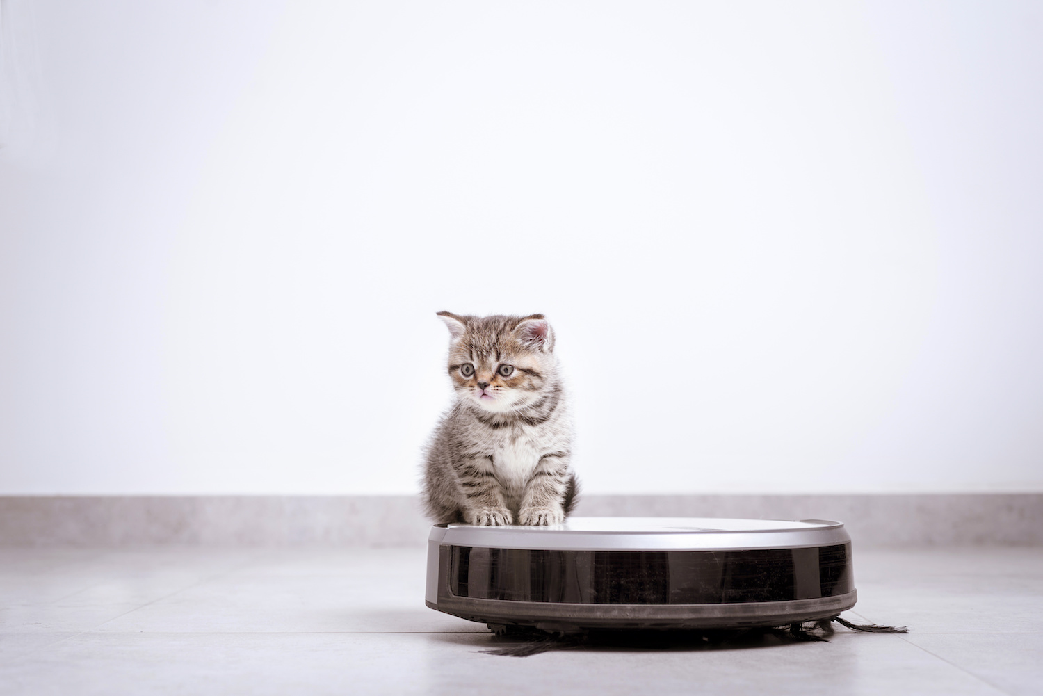 Cuál es la mejor Roomba para dueños de mascotas?