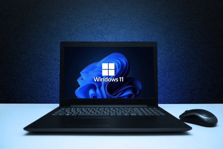 Microsoft Windows 11.