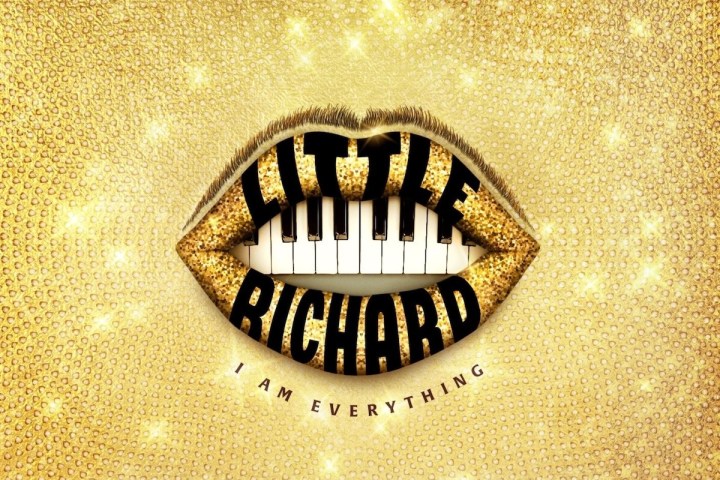 Little Richard: I Am Everything (2023).
