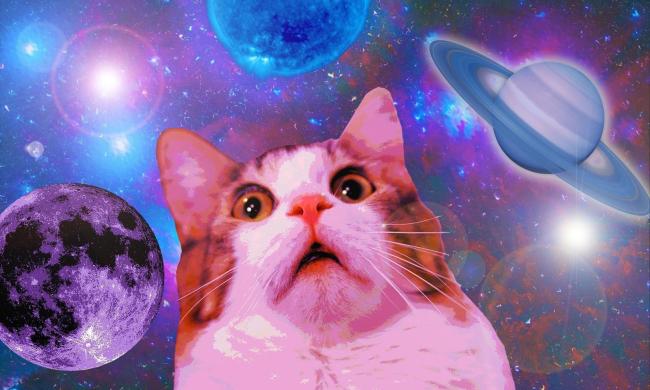 gato espacio profundo nasa laser meme