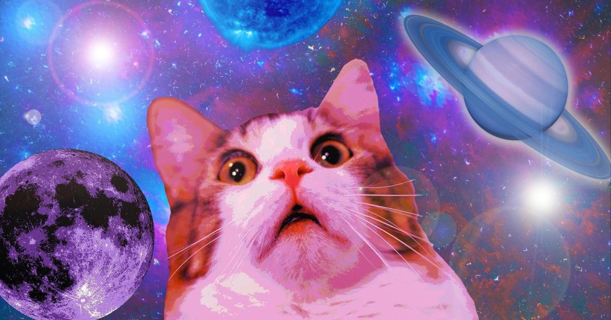 Un gato llega al espacio profundo cortesía de la NASA y un láser