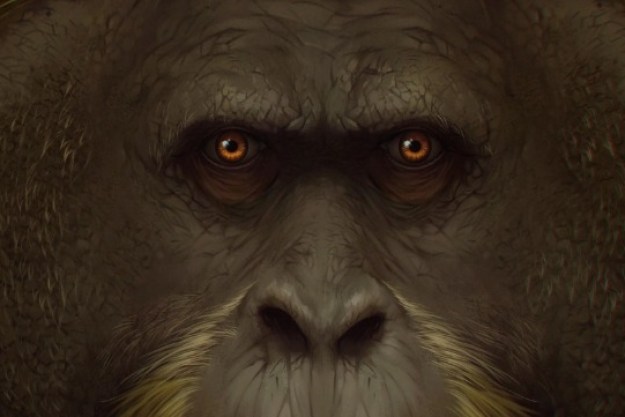gigantopiteco simio mas grande historia