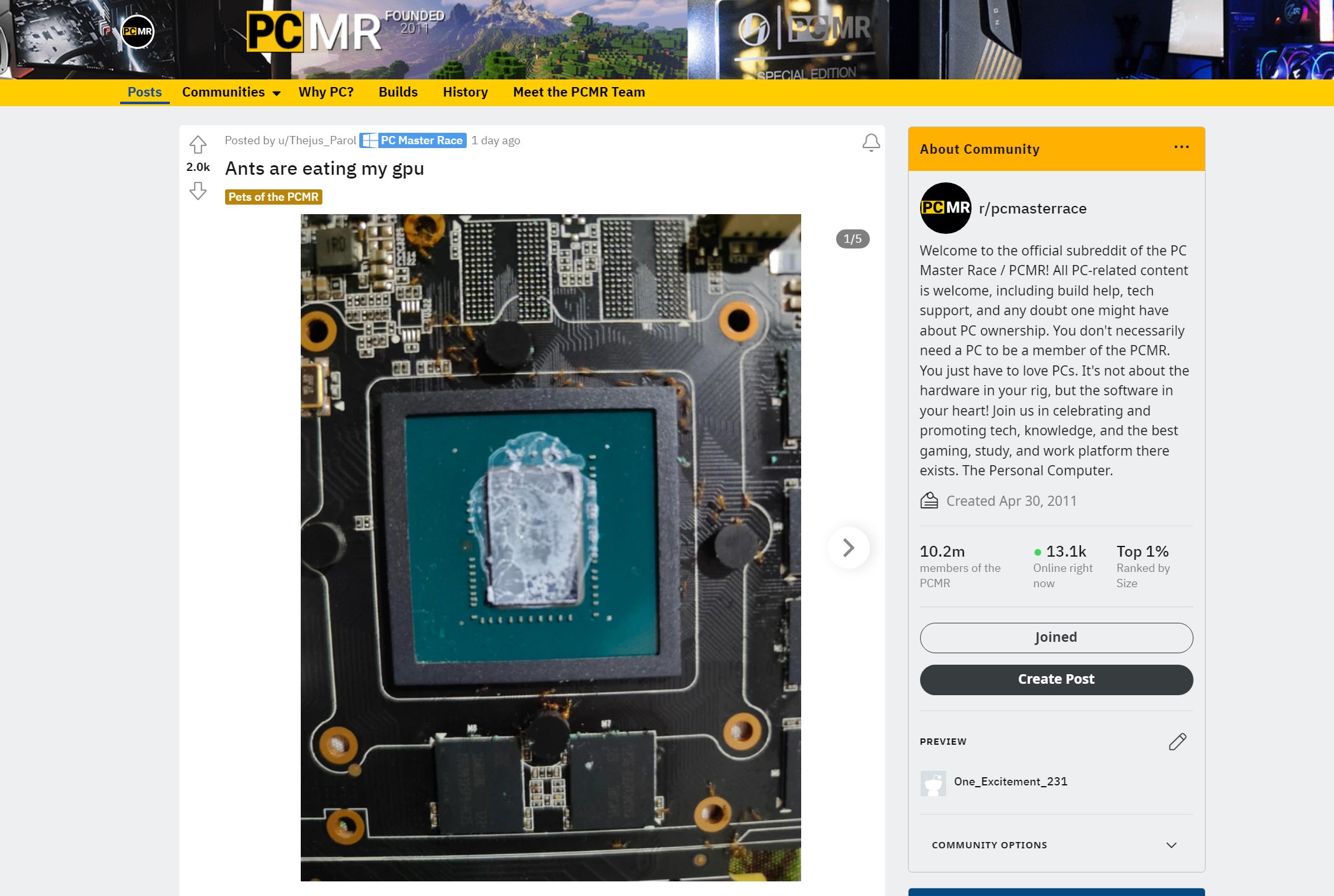 Un usuario cuenta que su PC gamer está infestada de hormigas.