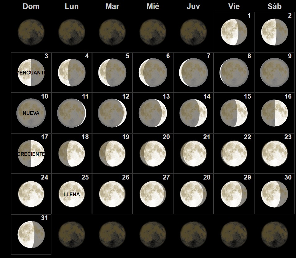 Luna hoy: calendario lunar del 5 al 11 de febrero 2024 - Vídeo Dailymotion