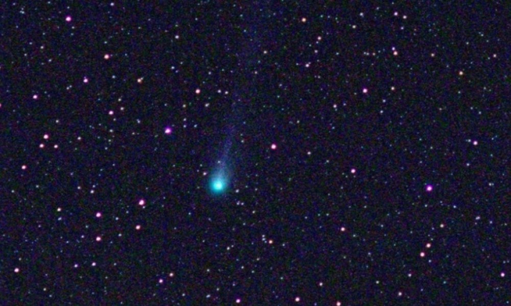 Cometa del diablo