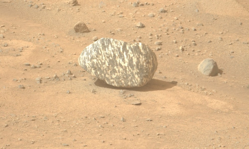 piedra cebra marte