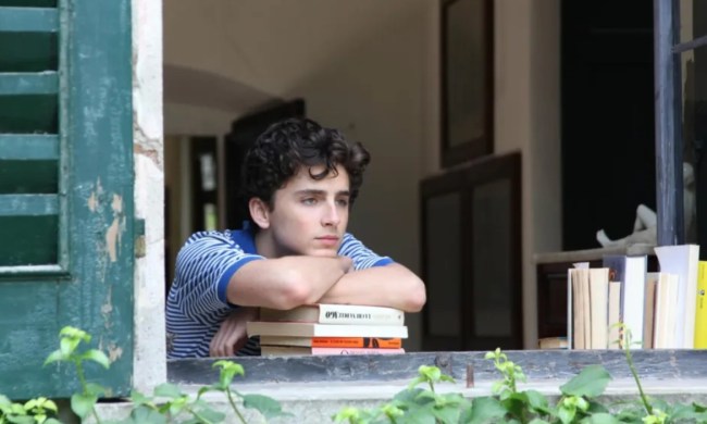 netflix peliculas salen 1 enero 2025 call me by your name