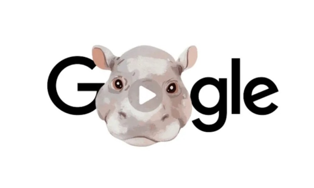 moo deng protagonista momentos mas virales google 2024